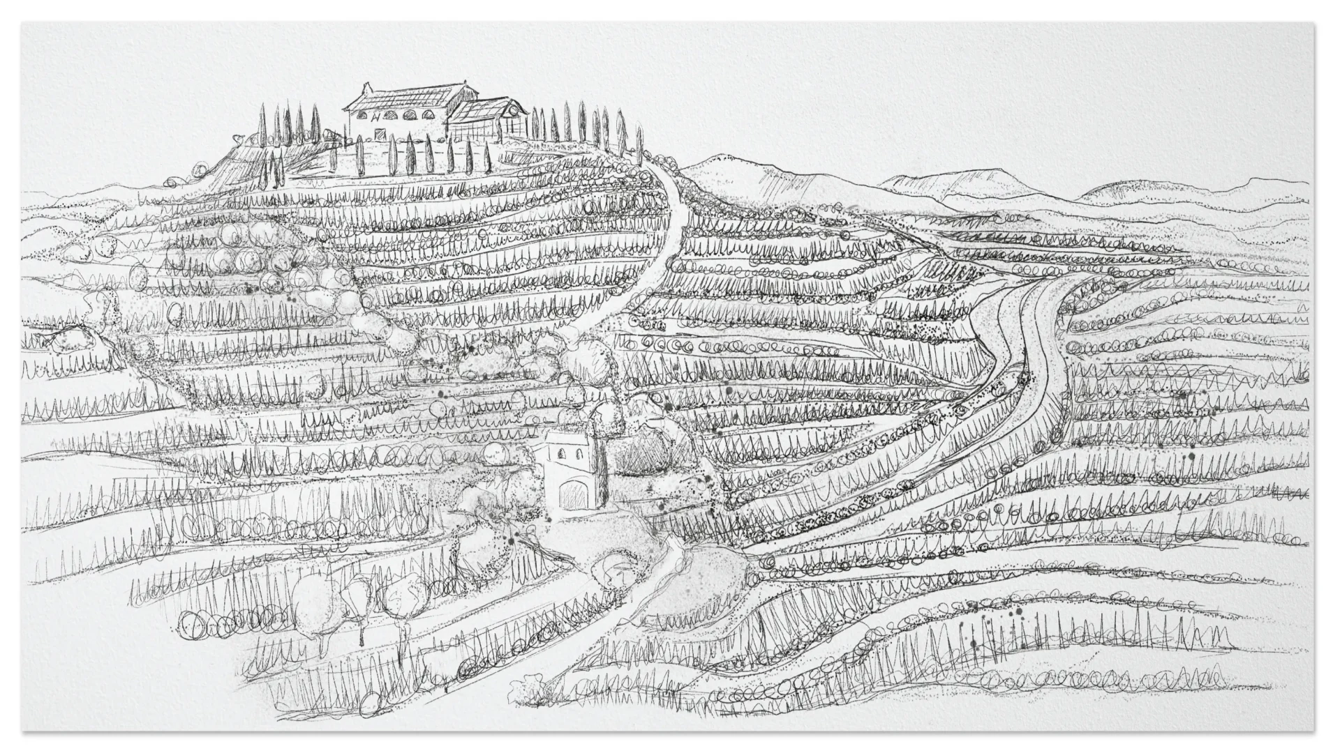 wine label design for mas d'en ros - Atavus priorat, illustration of winery