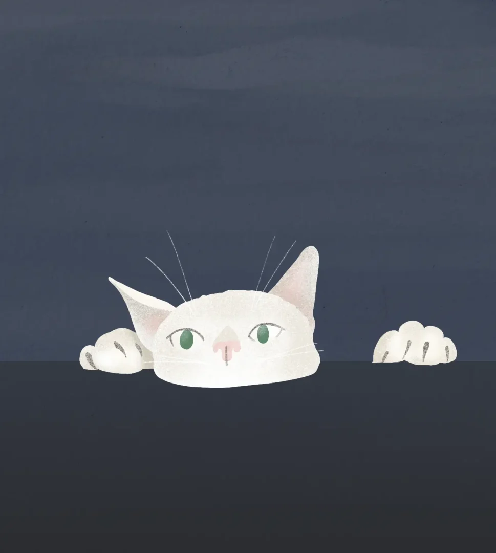 White cat illustrations