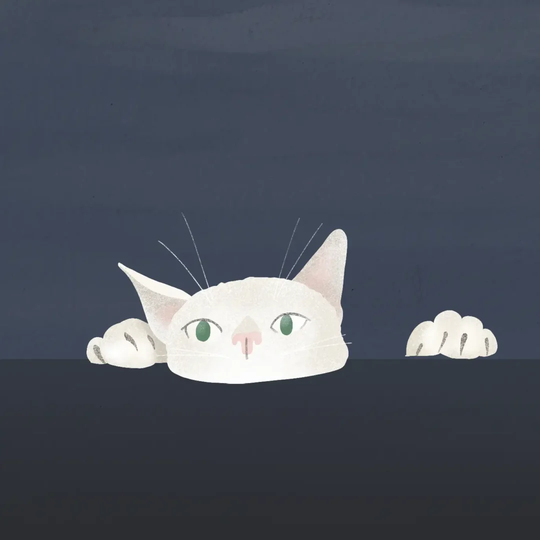 hand-illustrated white cat